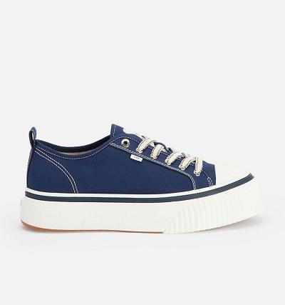 Ami Paris Low Top Ami 1980 Men's Sneakers Navy | ami-NZ523